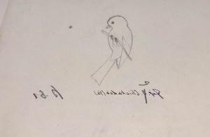 Sketch of a chickadee