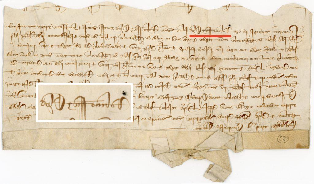 1337年罗伯特·菲茨·艾利斯授予约翰·德·多梅勒的补助金