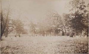 1883年11月的阿灵顿国家公墓