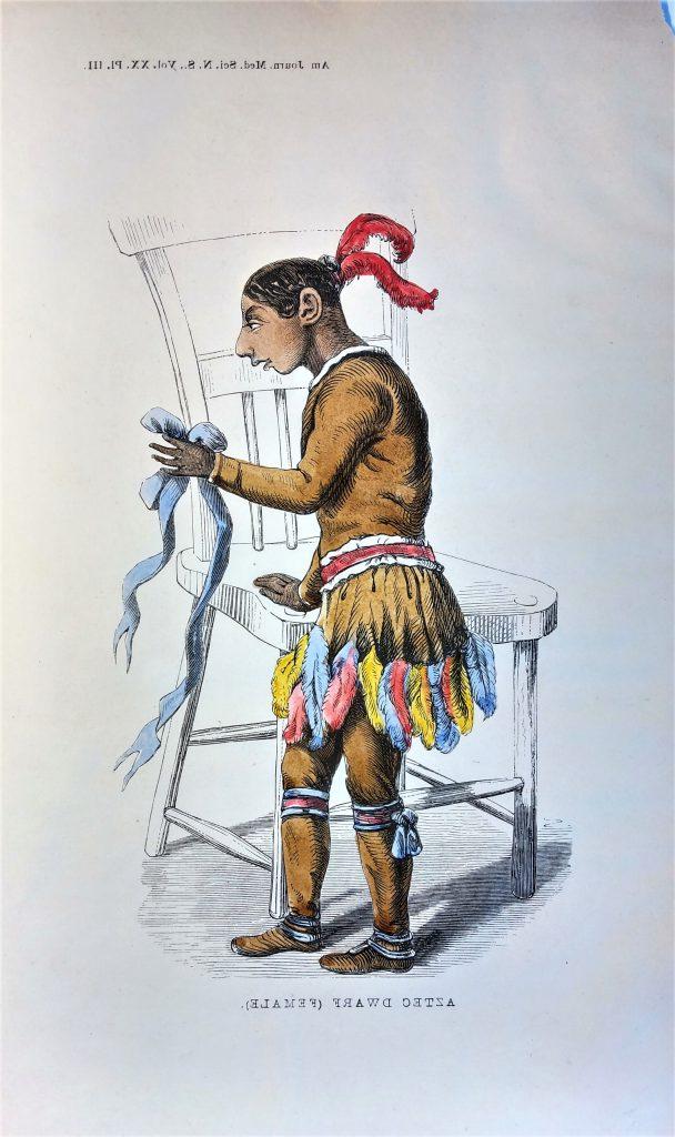 Illustration of Bartola. Her clothing is tan with a feathered skirt and some brightly colored accessories. Her hair is dark and has red feathers in it and she has a small head and body. Also in the picture is a chair, which is comically large compared to her. Underneath is written “Aztec Dwarf (Female).”