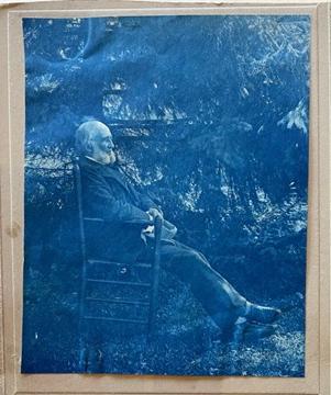 一张深蓝色的青色照片，描绘了一位留着胡子的老人坐在一棵大树下的椅子上.