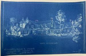 在蓝色的纸上画了一幅房子和树的白色图画.